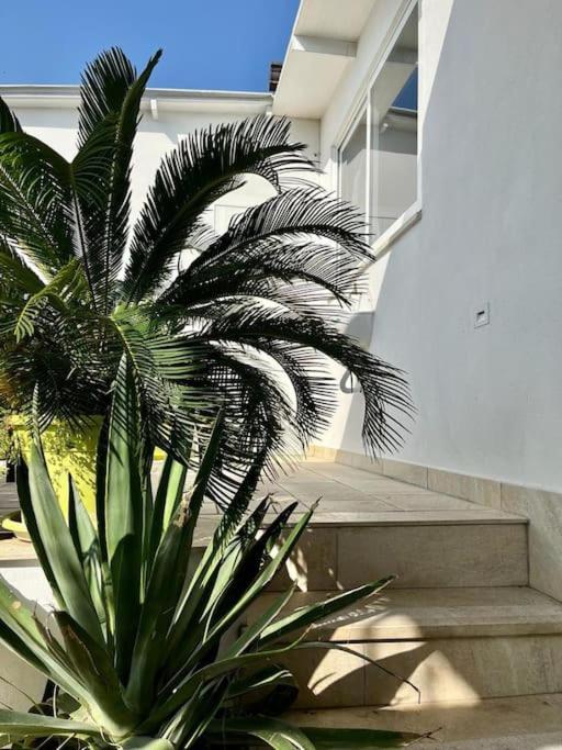 Bed and Breakfast Naples In The History 4M Zewnętrze zdjęcie